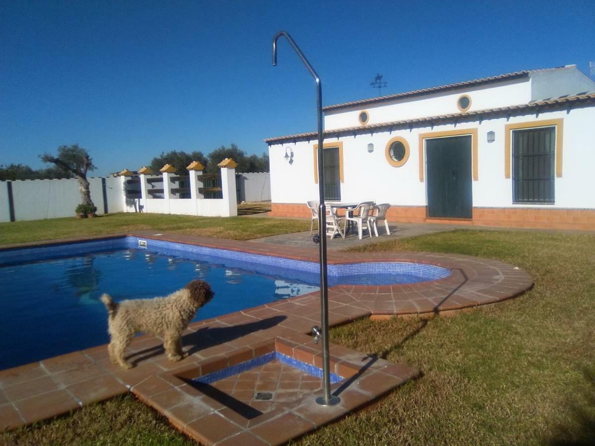 Casa Rural Vina Chica Дос-Эрманас Экстерьер фото